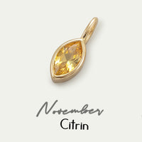 NOVEMBER-CITRIN-F